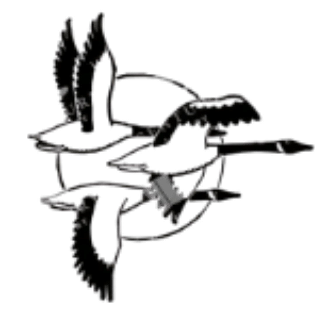 Print of Flock of Geese